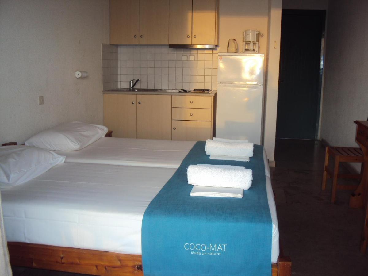 Galini Studios And Apartments Lassi  Room photo